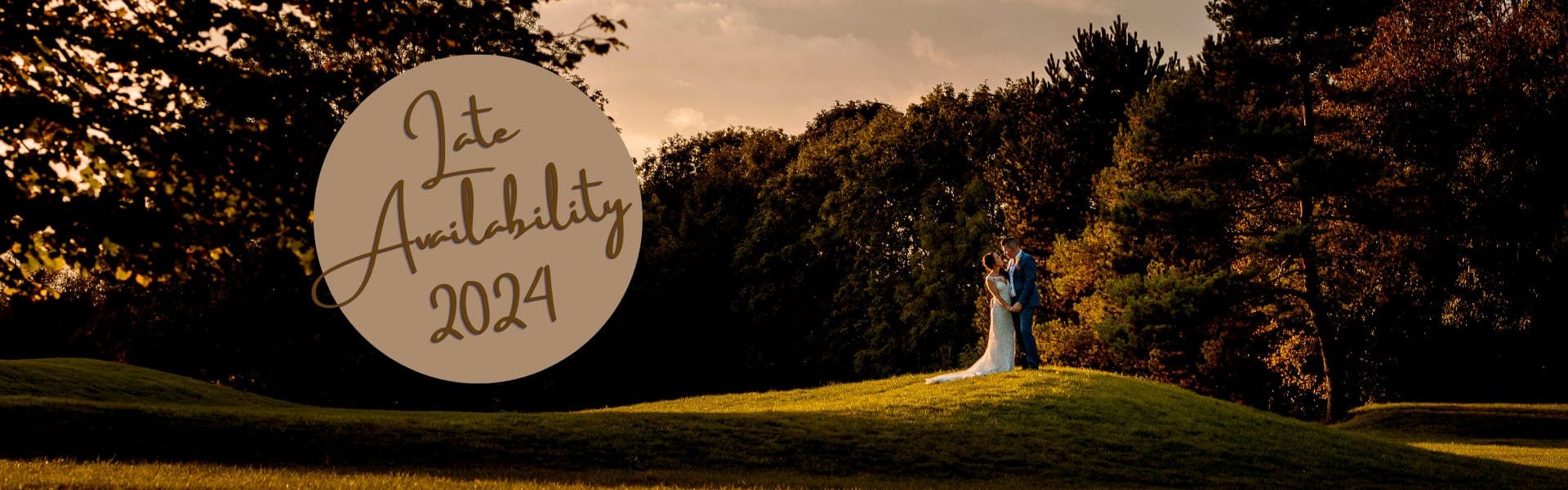 Website Banner Late Avail Wedding 1920 x 600 (9)