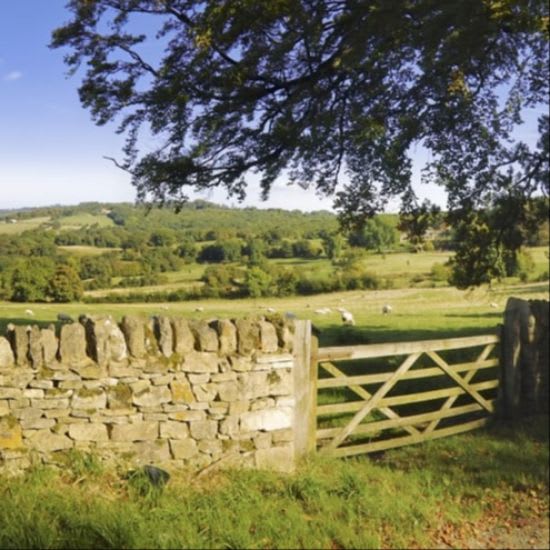 gate